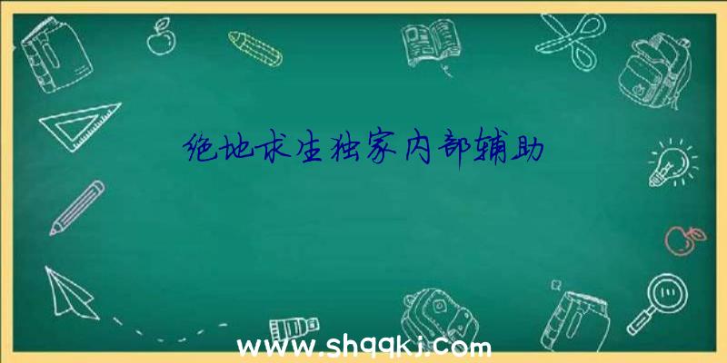 绝地求生独家内部辅助