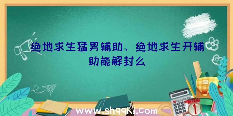 绝地求生猛男辅助、绝地求生开辅助能解封么