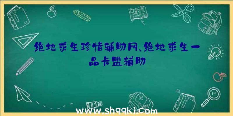 绝地求生珍惜辅助网、绝地求生一品卡盟辅助