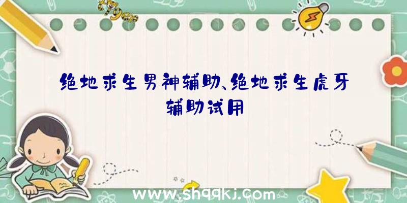 绝地求生男神辅助、绝地求生虎牙辅助试用