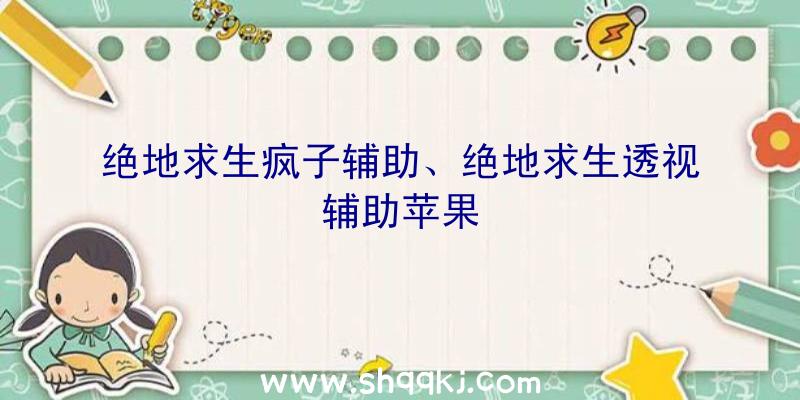 绝地求生疯子辅助、绝地求生透视辅助苹果