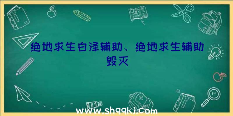 绝地求生白泽辅助、绝地求生辅助毁灭