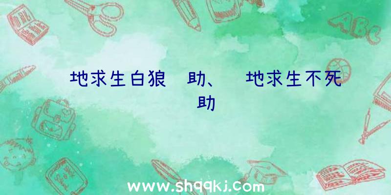 绝地求生白狼辅助、绝地求生不死辅助