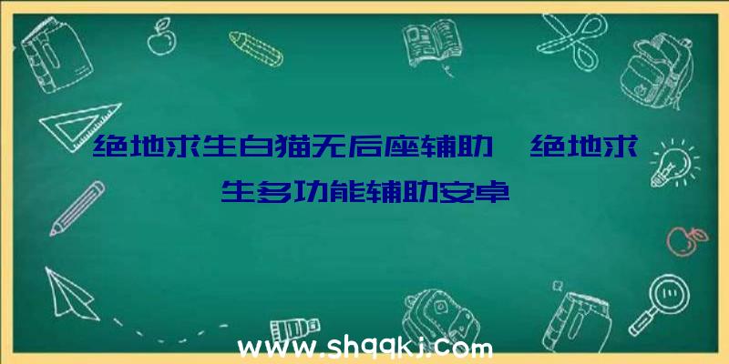 绝地求生白猫无后座辅助、绝地求生多功能辅助安卓