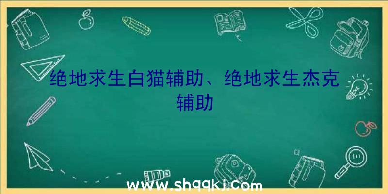 绝地求生白猫辅助、绝地求生杰克辅助