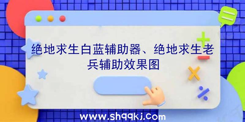 绝地求生白蓝辅助器、绝地求生老兵辅助效果图