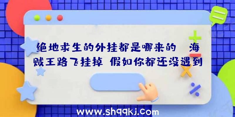 绝地求生的外挂都是哪来的？（海贼王路飞挂掉!假如你都还没遇到过这一软件,相信你一定会妥协）