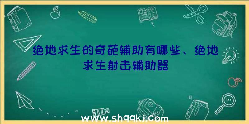 绝地求生的奇葩辅助有哪些、绝地求生射击辅助器