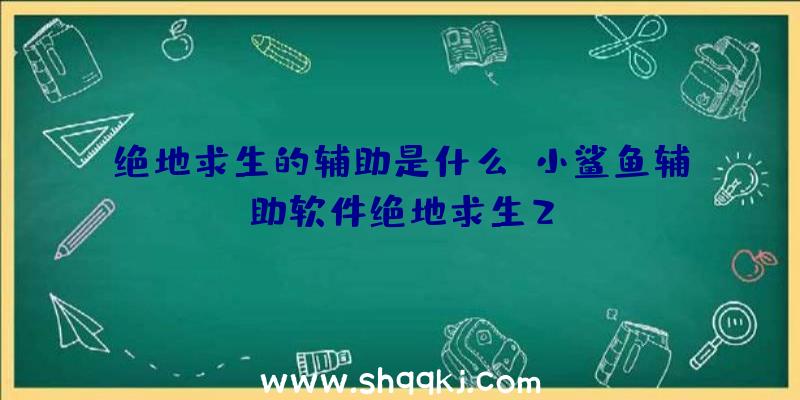 绝地求生的辅助是什么、小鲨鱼辅助软件绝地求生2