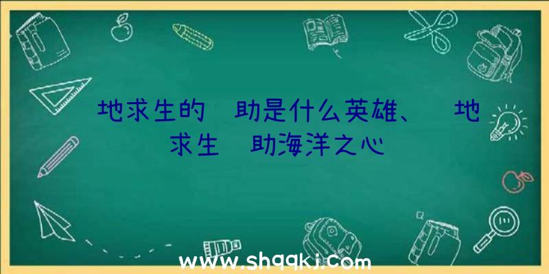 绝地求生的辅助是什么英雄、绝地求生辅助海洋之心