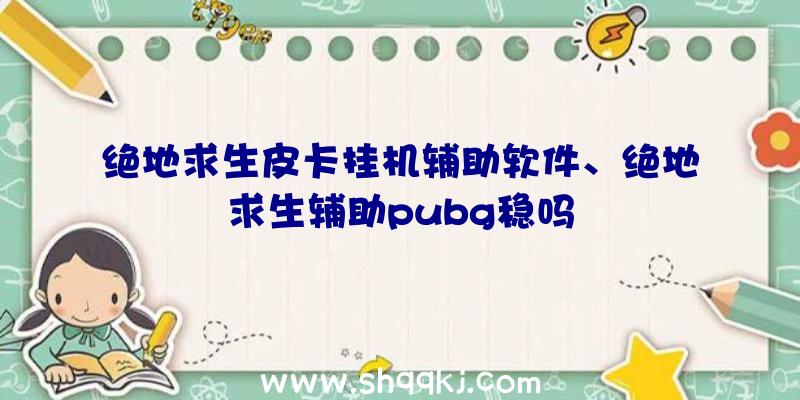 绝地求生皮卡挂机辅助软件、绝地求生辅助pubg稳吗