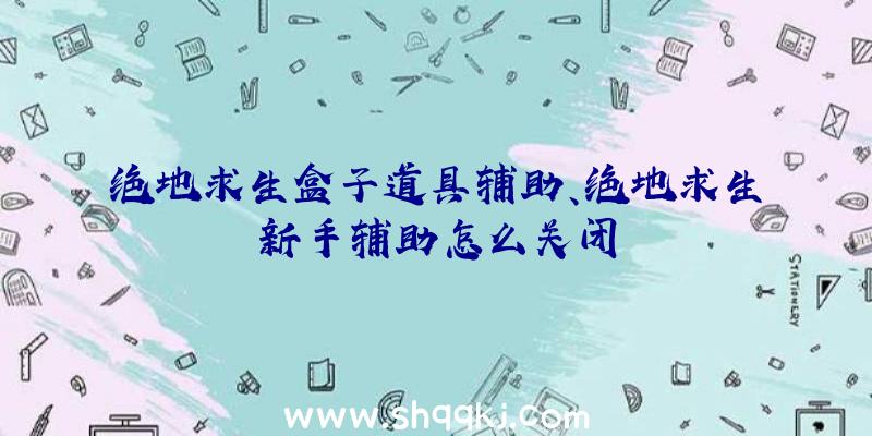 绝地求生盒子道具辅助、绝地求生新手辅助怎么关闭