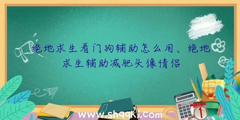 绝地求生看门狗辅助怎么用、绝地求生辅助减肥头像情侣