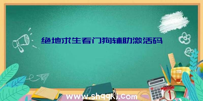 绝地求生看门狗辅助激活码