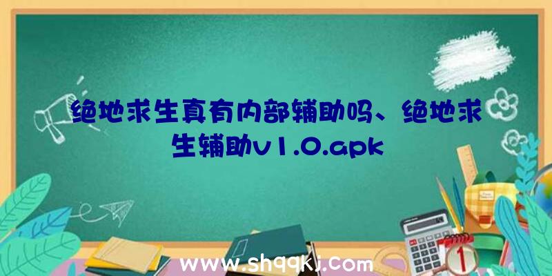 绝地求生真有内部辅助吗、绝地求生辅助v1.0.apk