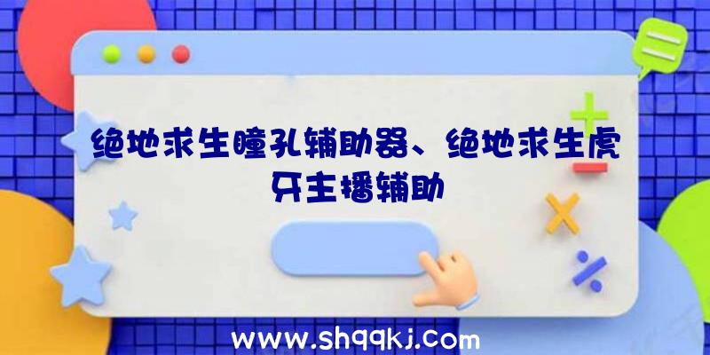 绝地求生瞳孔辅助器、绝地求生虎牙主播辅助