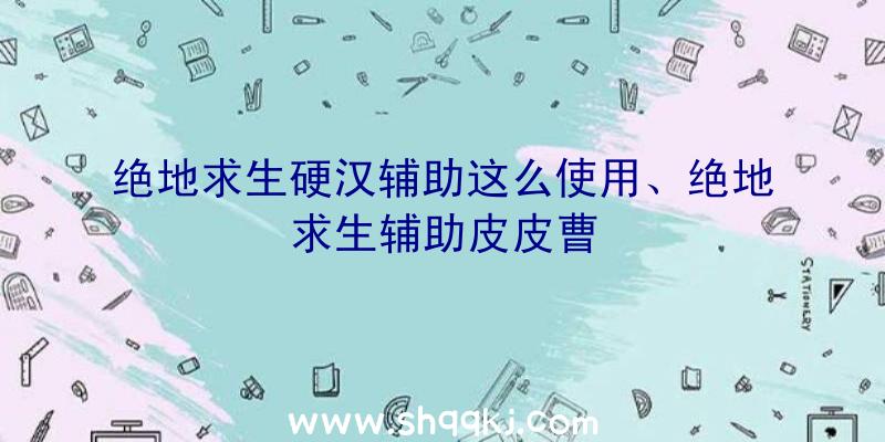 绝地求生硬汉辅助这么使用、绝地求生辅助皮皮曹