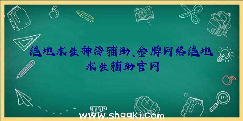 绝地求生神海辅助、金牌网络绝地求生辅助官网