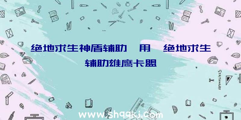 绝地求生神盾辅助咋用、绝地求生辅助雄鹰卡盟