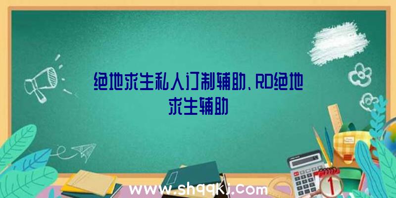 绝地求生私人订制辅助、RD绝地求生辅助