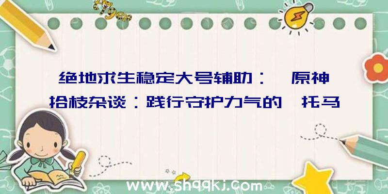 绝地求生稳定大号辅助：《原神》拾枝杂谈：践行守护力气的「托马：丹心红铠」