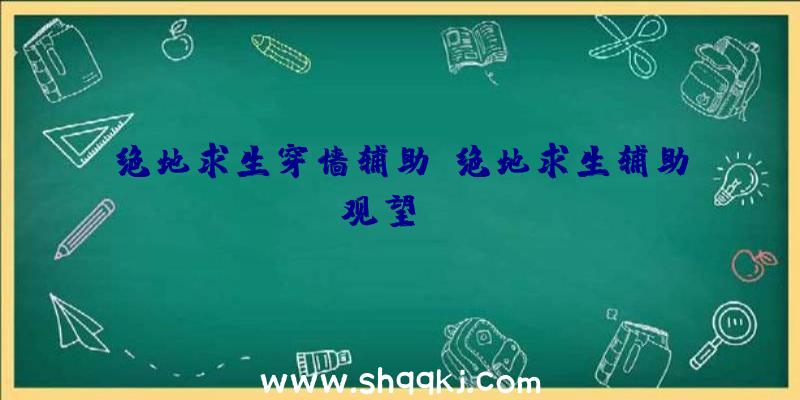 绝地求生穿墙辅助、绝地求生辅助观望nag