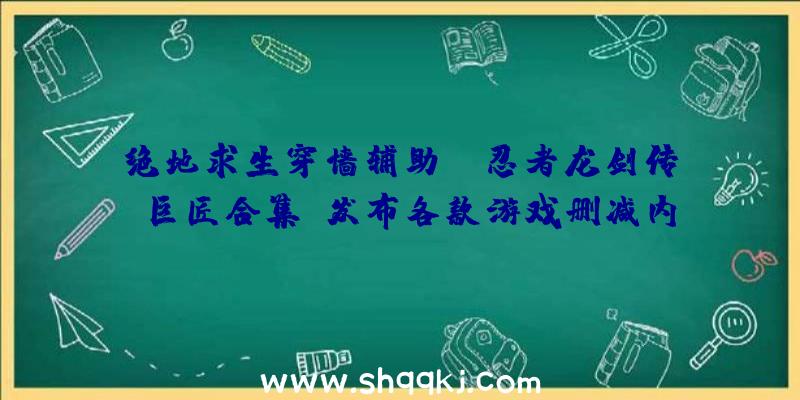 绝地求生穿墙辅助：《忍者龙剑传：巨匠合集》发布各款游戏删减内容概况：不再支撑在线多人形式