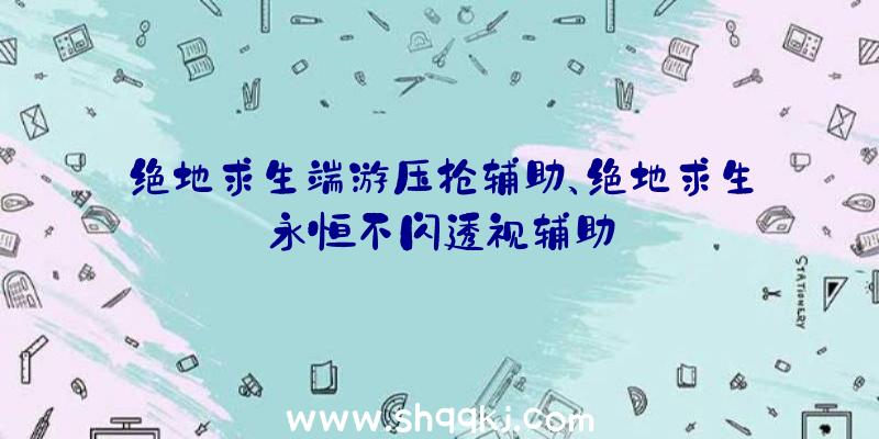 绝地求生端游压抢辅助、绝地求生永恒不闪透视辅助