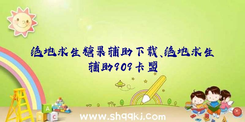 绝地求生糖果辅助下载、绝地求生辅助909卡盟