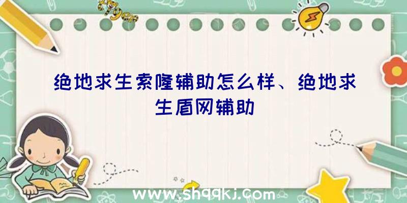 绝地求生索隆辅助怎么样、绝地求生盾网辅助