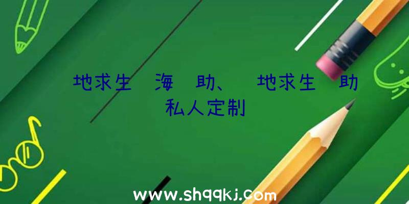 绝地求生红海辅助、绝地求生辅助私人定制