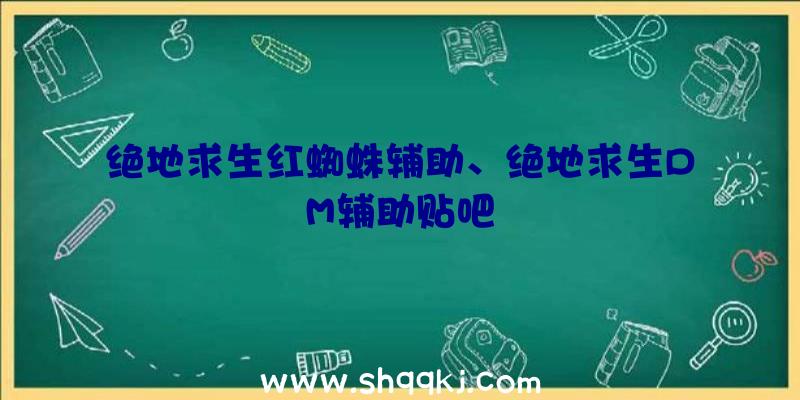 绝地求生红蜘蛛辅助、绝地求生DM辅助贴吧