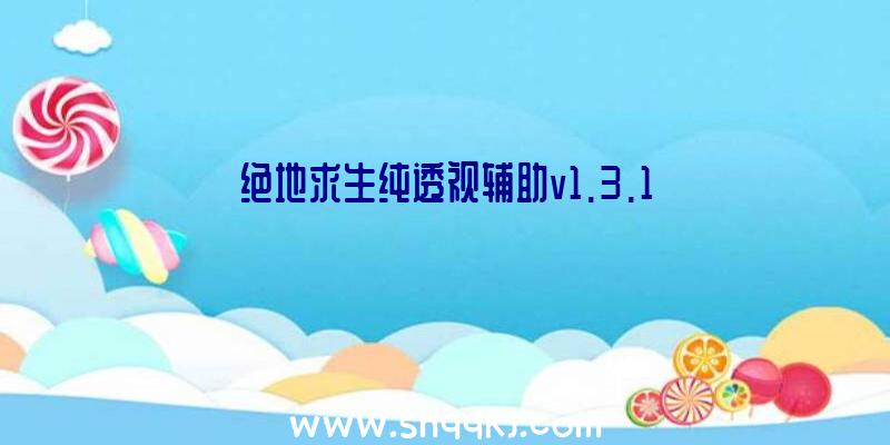 绝地求生纯透视辅助v1.3.1