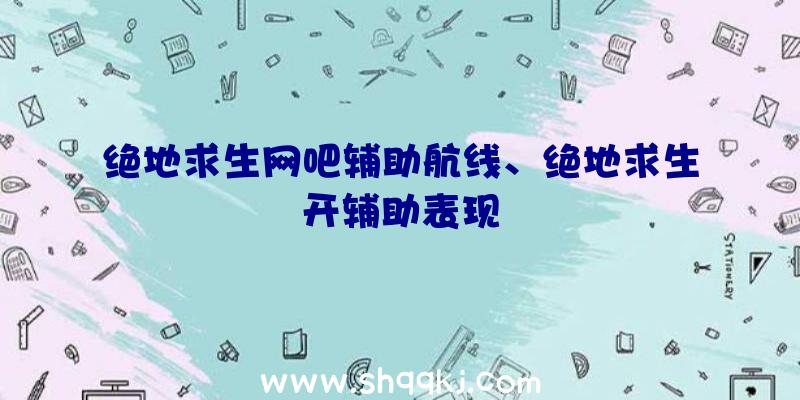 绝地求生网吧辅助航线、绝地求生开辅助表现