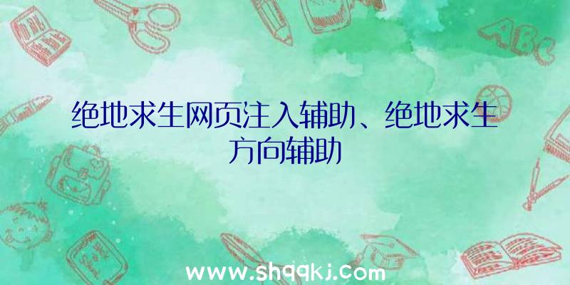 绝地求生网页注入辅助、绝地求生方向辅助