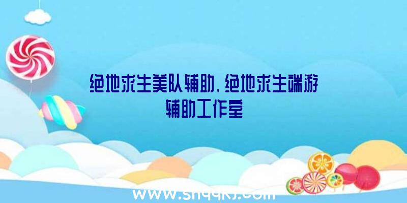 绝地求生美队辅助、绝地求生端游辅助工作室