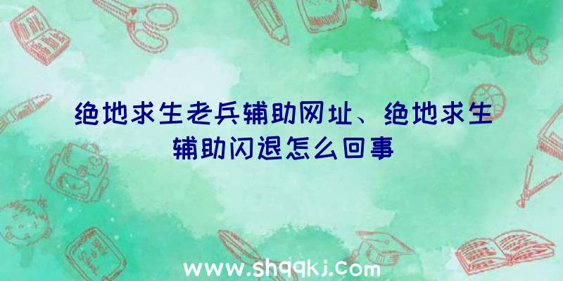 绝地求生老兵辅助网址、绝地求生辅助闪退怎么回事