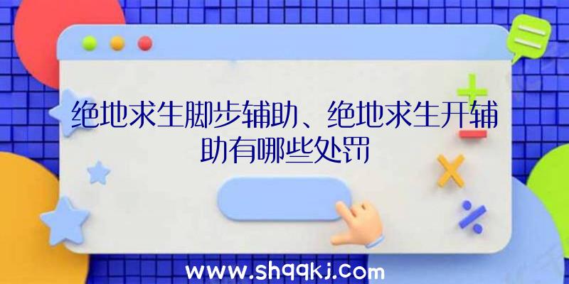 绝地求生脚步辅助、绝地求生开辅助有哪些处罚