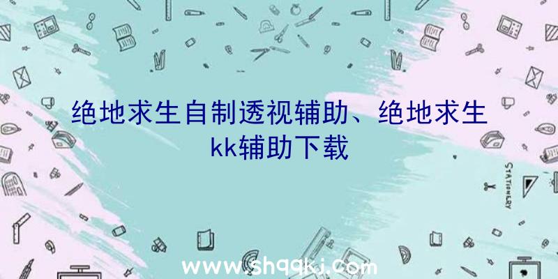 绝地求生自制透视辅助、绝地求生kk辅助下载