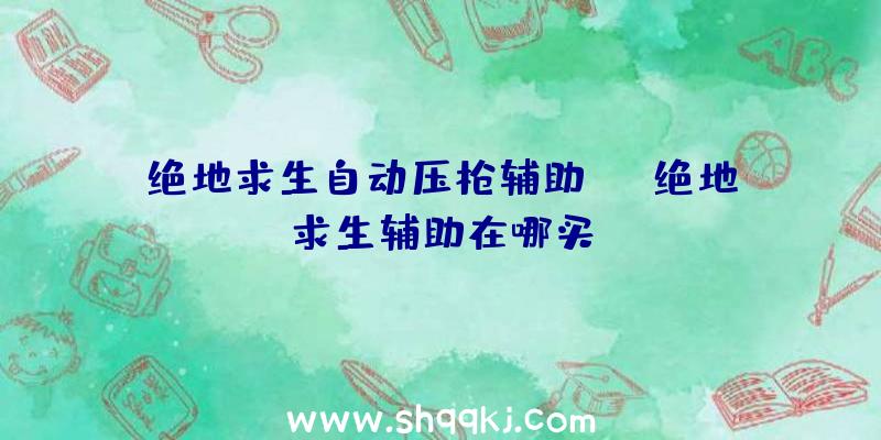 绝地求生自动压枪辅助、PC绝地求生辅助在哪买