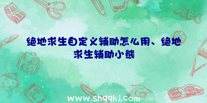 绝地求生自定义辅助怎么用、绝地求生辅助小熊