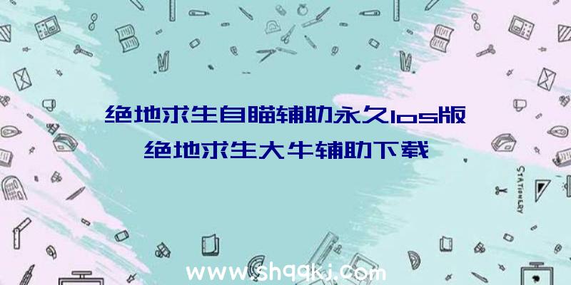 绝地求生自瞄辅助永久Ios版、绝地求生大牛辅助下载