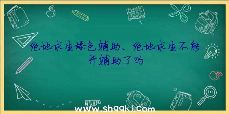 绝地求生舔包辅助、绝地求生不能开辅助了吗