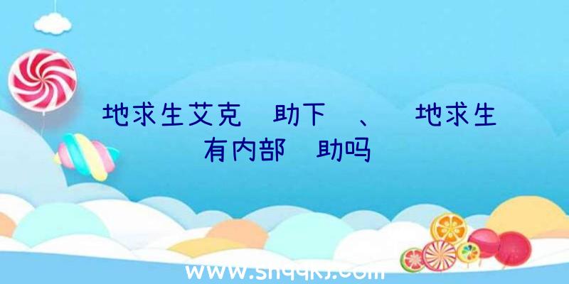 绝地求生艾克辅助下载、绝地求生有内部辅助吗