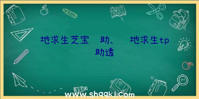 绝地求生芝宝辅助、绝地求生tp辅助透视