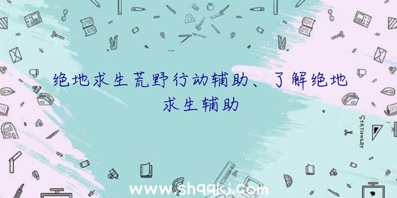 绝地求生荒野行动辅助、了解绝地求生辅助