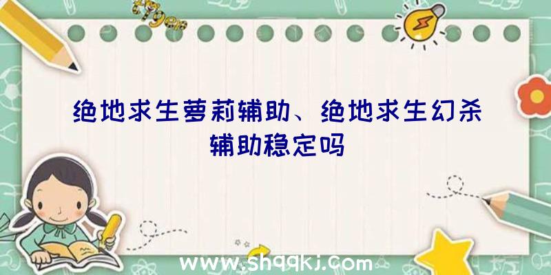 绝地求生萝莉辅助、绝地求生幻杀辅助稳定吗