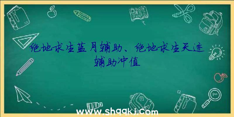 绝地求生蓝月辅助、绝地求生天迹辅助冲值