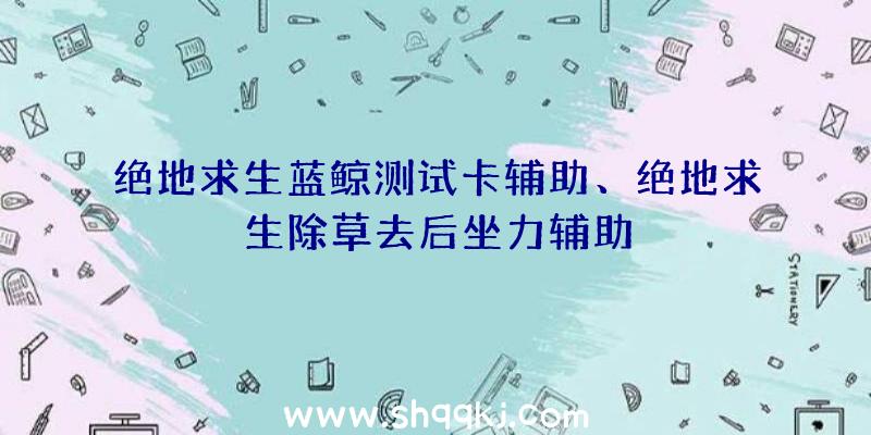 绝地求生蓝鲸测试卡辅助、绝地求生除草去后坐力辅助