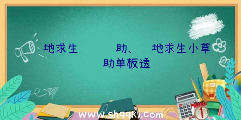 绝地求生蓝鲸辅助、绝地求生小草辅助单板透视